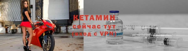 сатива Великий Новгород