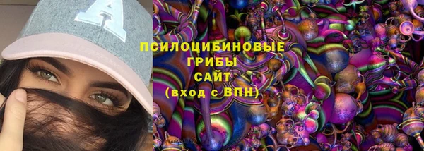 ГАЛЛЮЦИНОГЕННЫЕ ГРИБЫ Волоколамск